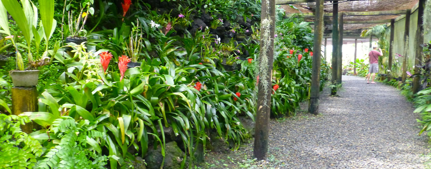 10 Best Things to Do in Lautoka Fiji Pocket Guide